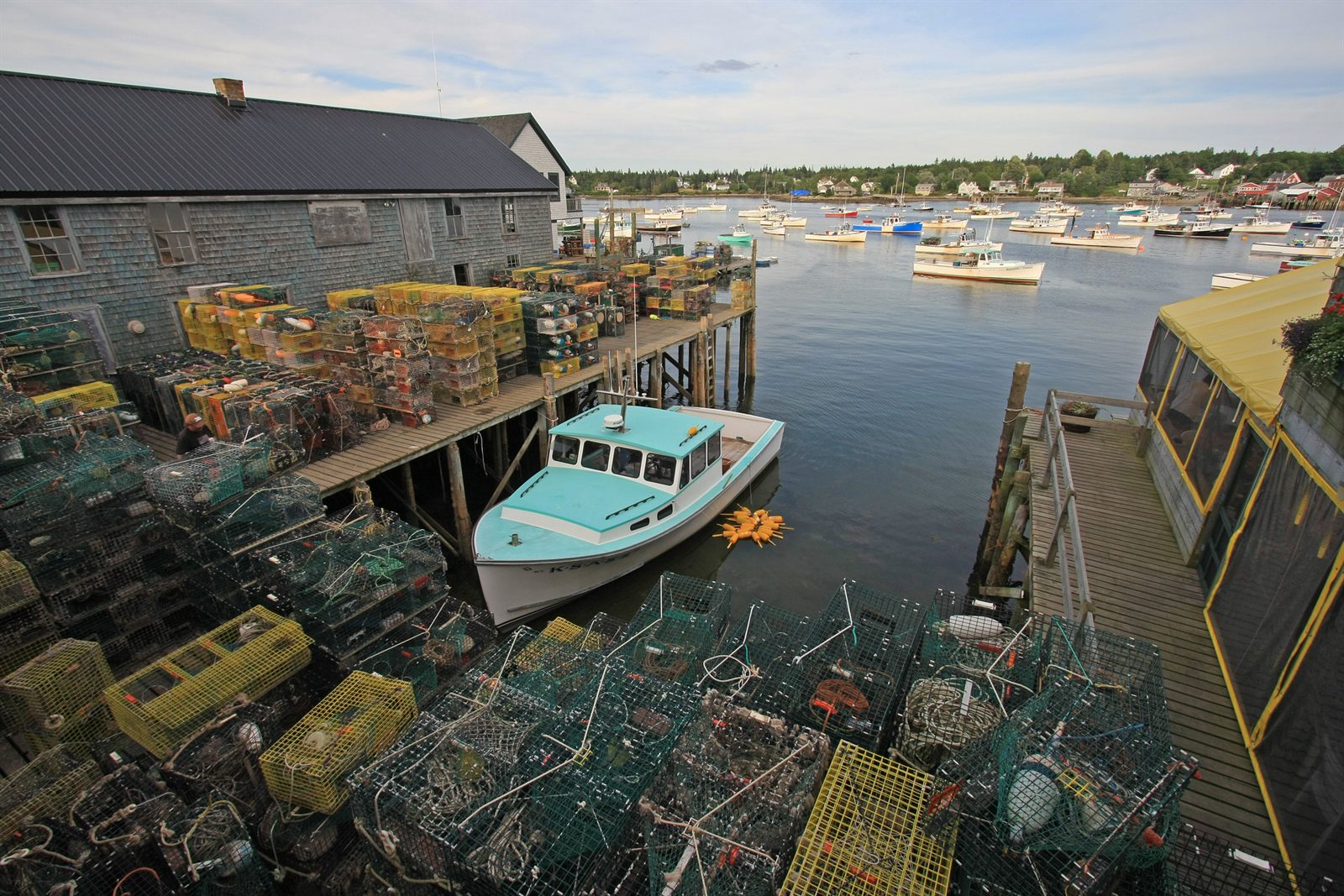 Working boats and wooden piers in a small coastal harbor